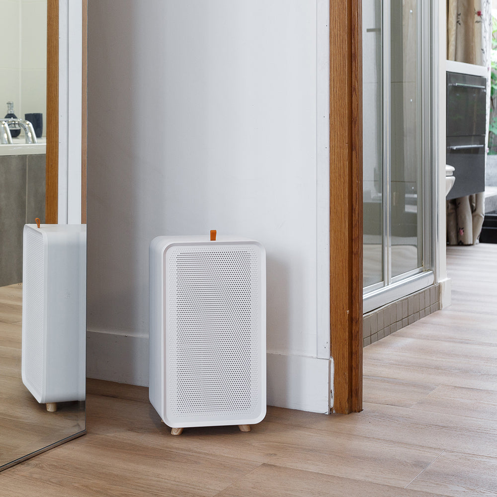 De grote switch naar ontvochtiging: meer en meer mensen hebben last van vocht in huis!