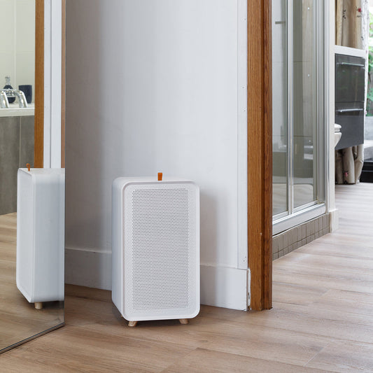 De grote switch naar ontvochtiging: meer en meer mensen hebben last van vocht in huis!
