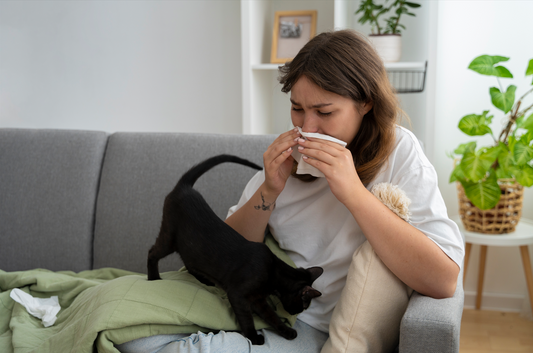 Adem vrij met katten: De rol van luchtkwaliteit bij allergieën