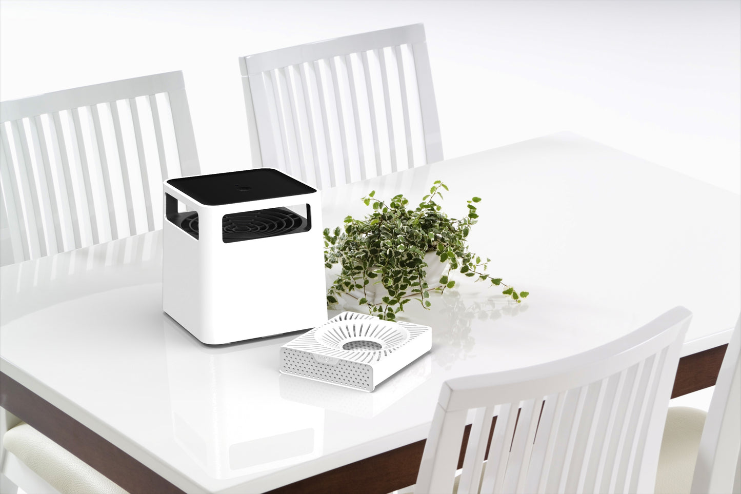 Enif - Mosquito Trap
