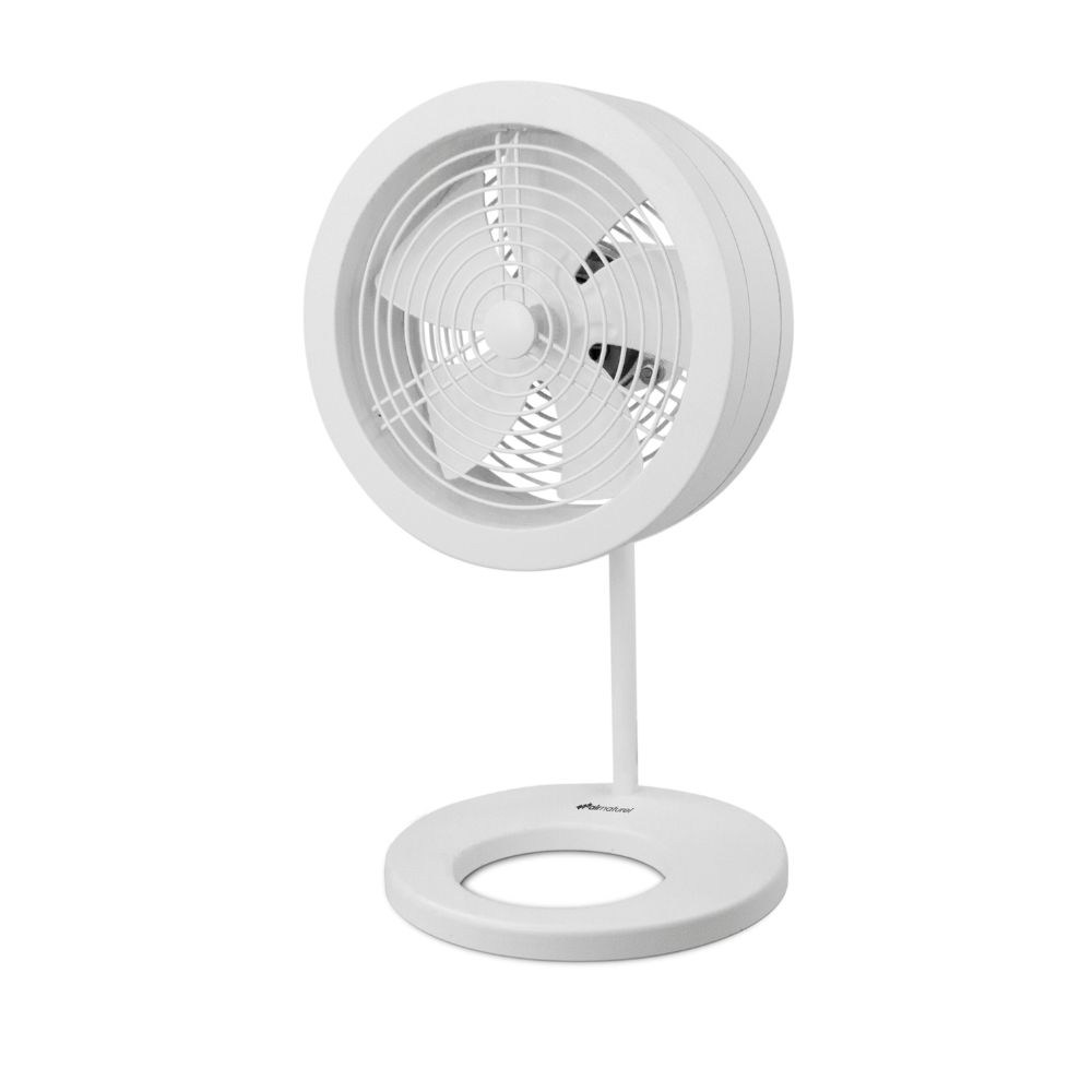 Naos - Fan